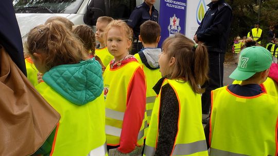 Czerwone – stój, zielone - idź