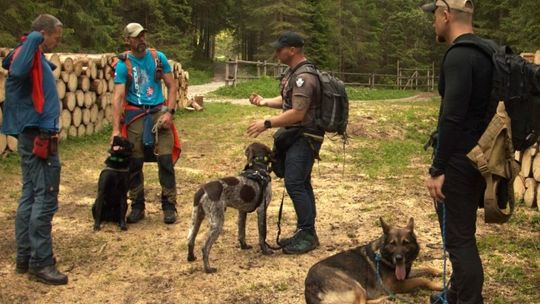 Czworonogi czują zapach nad wodą. Pojechali w góry
