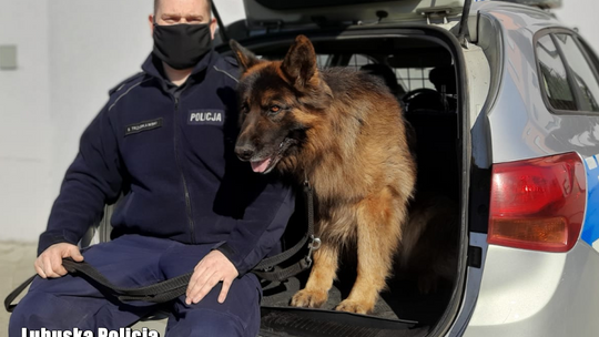 Czworonogi w policji też przechodzą na emeryturę