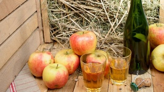 Czy będzie u nas wytwórnia cydru?