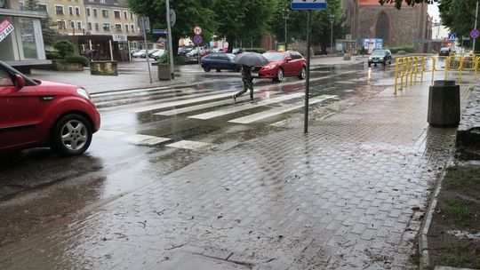 Czy kierowcy polowali na pieszych