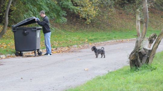 Czy można podrzucać śmieci do kontenera?
