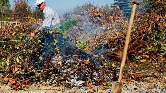 Czy można rozpalać ogniska na działkach