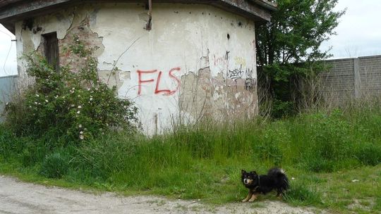 Czy stara przepompownia dostanie szansę na drugie życie?