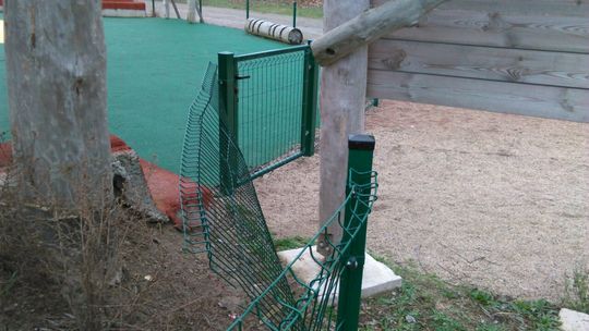 Czy taki widok powinny obserwować dzieci?