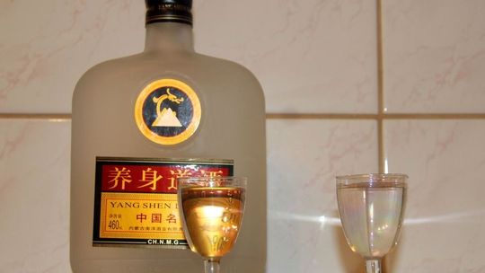 Czy w Cedyni kupują głosy za alkohol?