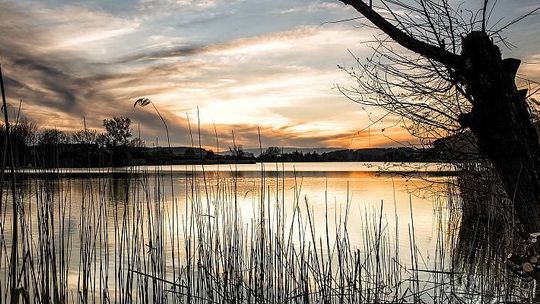 Czy Wody Polskie nie chcą inwestować w „małą retencję”? Przepadły wielomilionowe dotacje