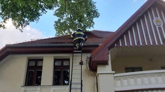 Czyścili rynny. Nie spodziewali się, że zostaną zaatakowani