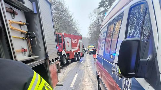 Dachowanie na trasie Mieszkowice – Gozdowice. Auto wylądowało w rowie