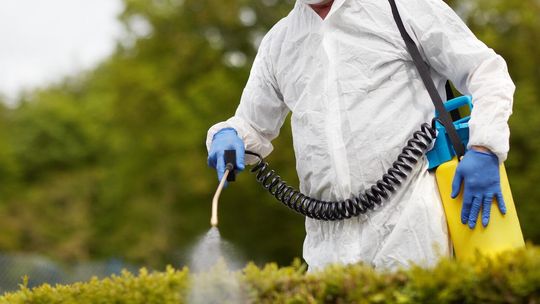 DDD – co oznacza? Podpowiadamy na co zwrócić uwagę przy wyborze firmy