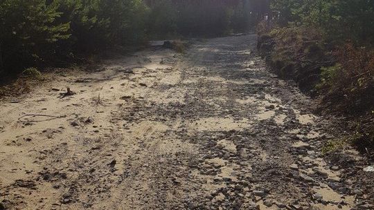 Deszcze odsłoniły faktyczny skład materiałów użytych do utwardzenia drogi w lesie - list czytelnika