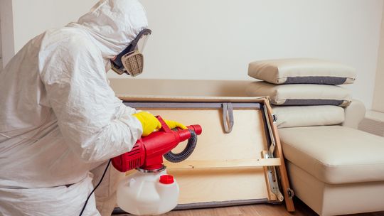 Dezynfekcja: Kiedy, jak i dlaczego powinniśmy to robić?