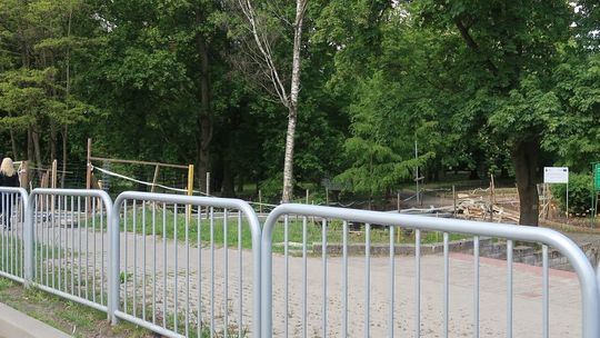 Dlaczego park jest zarośnięty? - pyta czytelnik