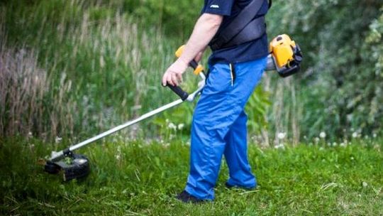 Dmuchnął dmuchawę