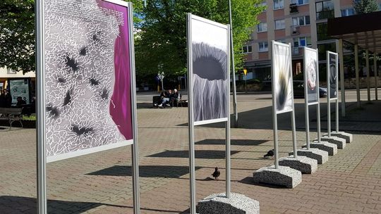 Do czytania i oglądania