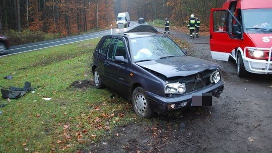 Do jednej akcji przystąpili zawodowi strażacy