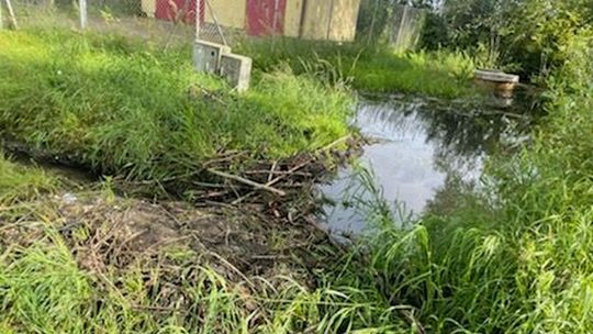 Do przepompowni powinien przyjechać sanepid! 