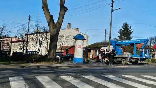 Do przycinki trzeba było użyć podnośnika