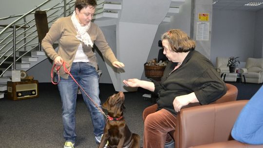 Dogoterapia w Senior Wigorze