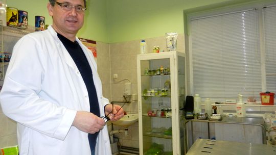 Dokąd po pomoc ze zwierzakiem w święta