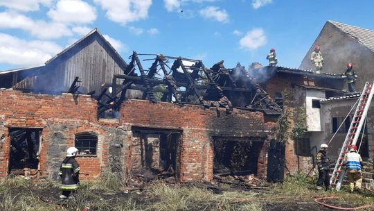 Dokąd wyjeżdżali i co robili strażacy