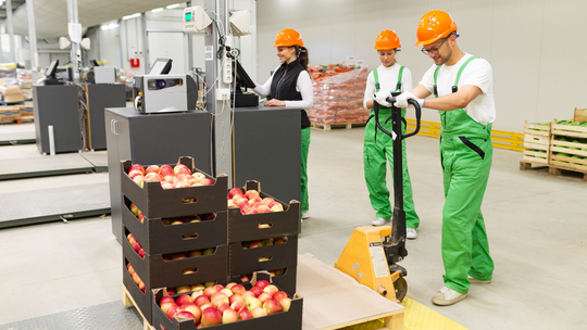 Pensja nie wystarczy na utrzymanie rodziny. Jak sobie dorabiamy?