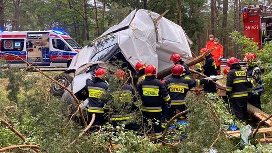 Dostawczakiem owinął się wokół drzewa. Kryminalni prowadzą śledztwo