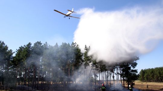 Dromadery gasiły las