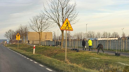 Drzewa sadzili, ale drogi nie posypali