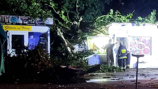 Bar zniszczony przez odłamany wielki konar. Drzewo spadło na dom