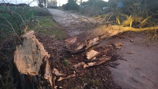 Dudley narozrabiał pod Gryfinem