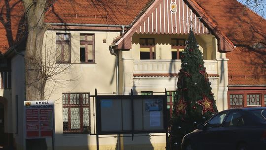 Duża choinka stanęła przed urzędem