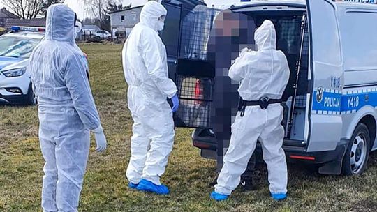 Dwa miesiące aresztu dla kobiety z koronawirusem, która wybrała się na zakupy