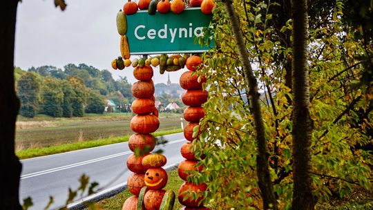 Dyniowo-kabaczkowe powitanie