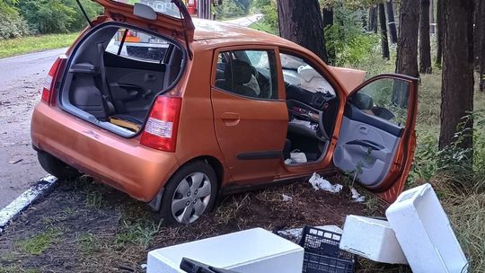 Działania strażaków na drodze i na prywatnych  posesjach