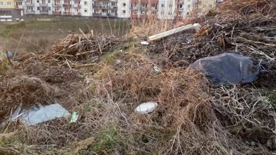 Działkowicze zaśmiecają ogródki działkowe