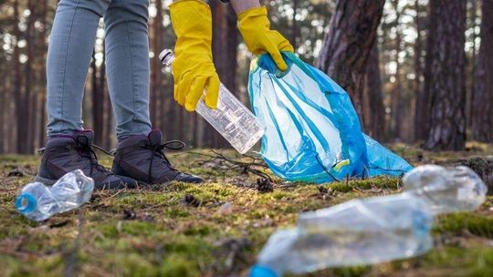 Walka z plastikiem i smogiem. Jak edukacja i proste nawyki zmieniają świat na Dzień Ziemi