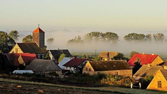 Dzień Żurawia w Marwicach 2026. Zobacz niezwykłą migrację ptaków i odwiedź rodzinny festyn