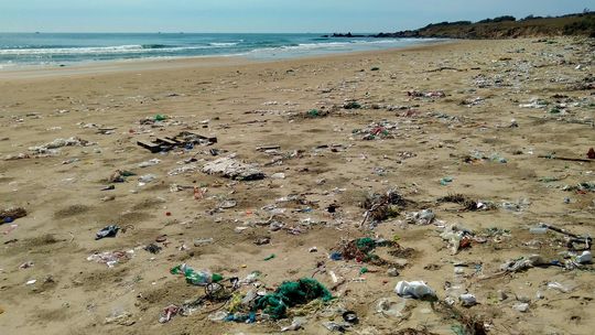 Dziś Dzień bez opakowań foliowych Dziś Dzień bez opakowań foliowych