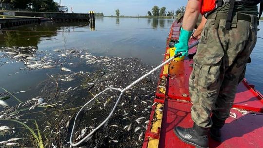 Dziś Światowy Dzień Ziemi, czyli też rzeki. Proste sposoby na ratowanie środowiska