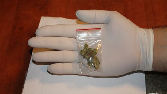 Dziś zatrzymano mężczyznę z narkotykami