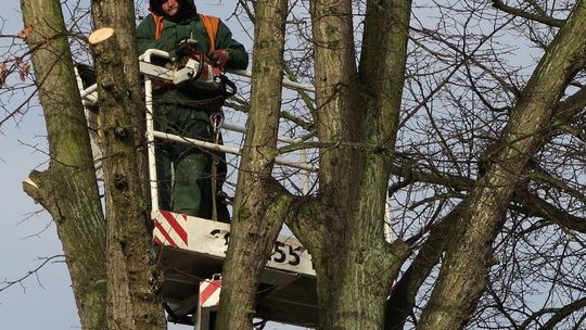 Elwi sprząta w imieniu powiatu