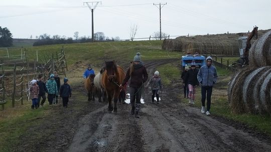 Ferie w siodle zakończyła pogoń za lisem