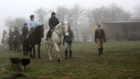 Ferie z końmi - propozycja stowarzyszenia