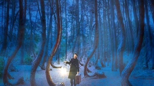 Fotografia „Baśniowy Krzywy Las” Łukasza Bartosia zwyciężyła w konkursie Fotografia „Baśniowy Krzywy Las” Łukasza Bartosia zwyciężyła w konkursie