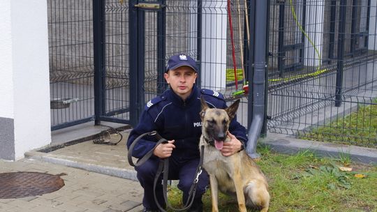 Gaja będzie patrolować, interweniować i tropić