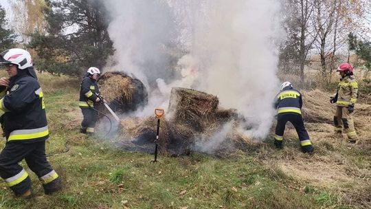 Gasili pożar balotów siana [ZDJĘCIA]