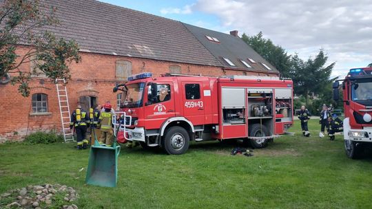 Gasili pożary budynku gospodarczego i traw oraz usuwali powalone drzewo  
