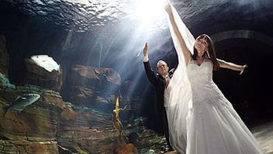 Gdzie bierzemy ślub? Burmistrz łączy pary