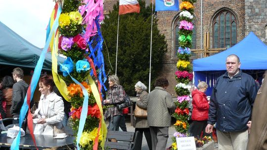 Gdzie były najdłuższe palmy